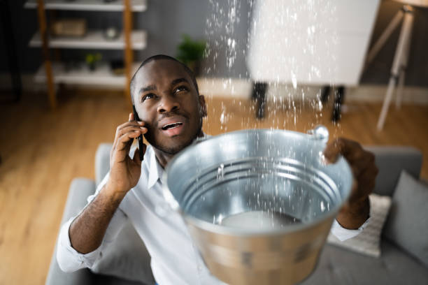 Best Flood restoration services  in Howey In The Hills, FL