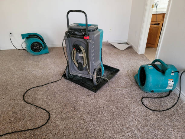 Best Water damage cleanup near me  in Howey In The Hills, FL