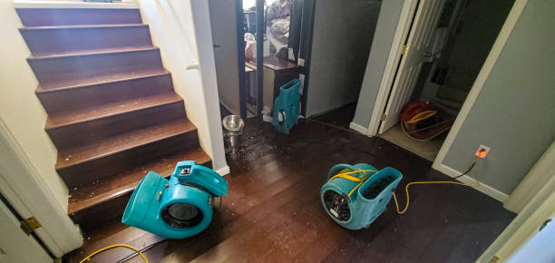 Best Ceiling water damage repair  in Howey In The Hills, FL