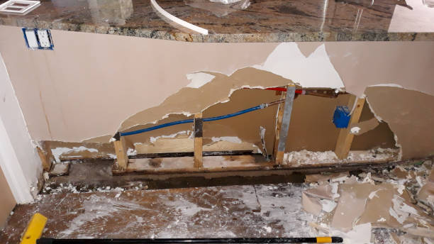 Best Fire Damage Restoration  in Howey In The Hills, FL