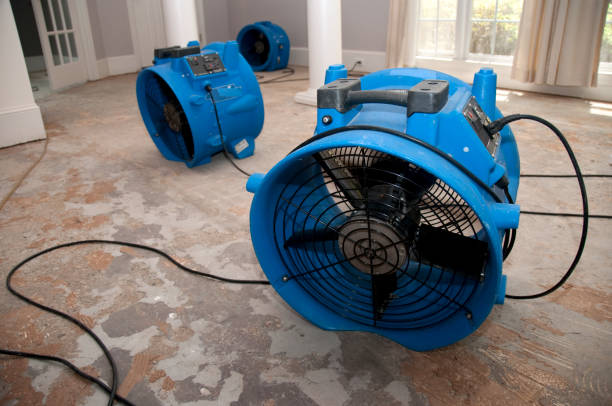 Best Flooded house restoration  in Howey In The Hills, FL