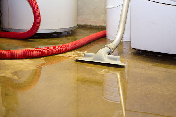 Best Commercial water damage restoration  in Howey In The Hills, FL