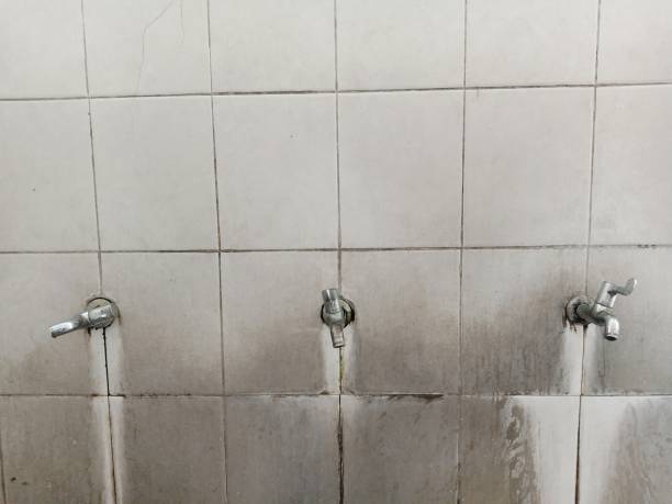 Best Professional water damage repair  in Howey In The Hills, FL