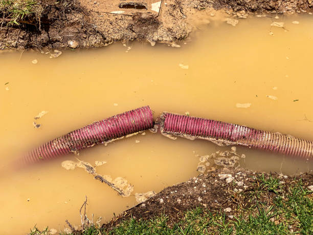 Best Sewage cleanup and water damage restoration  in Howey In The Hills, FL