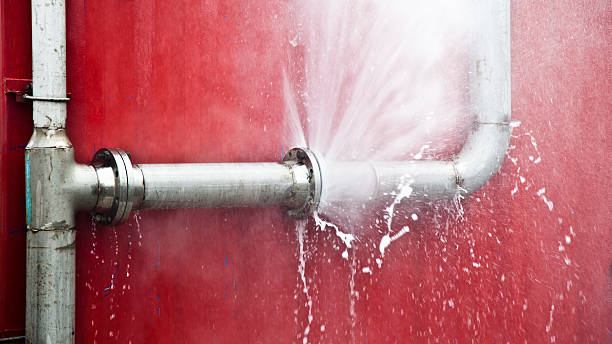 Best Water damage contractors near me  in Howey In The Hills, FL